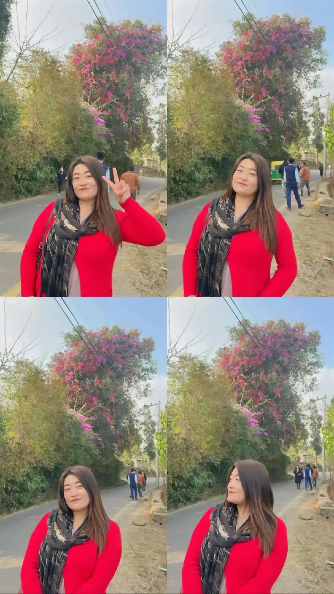 @Bird🧛🐦