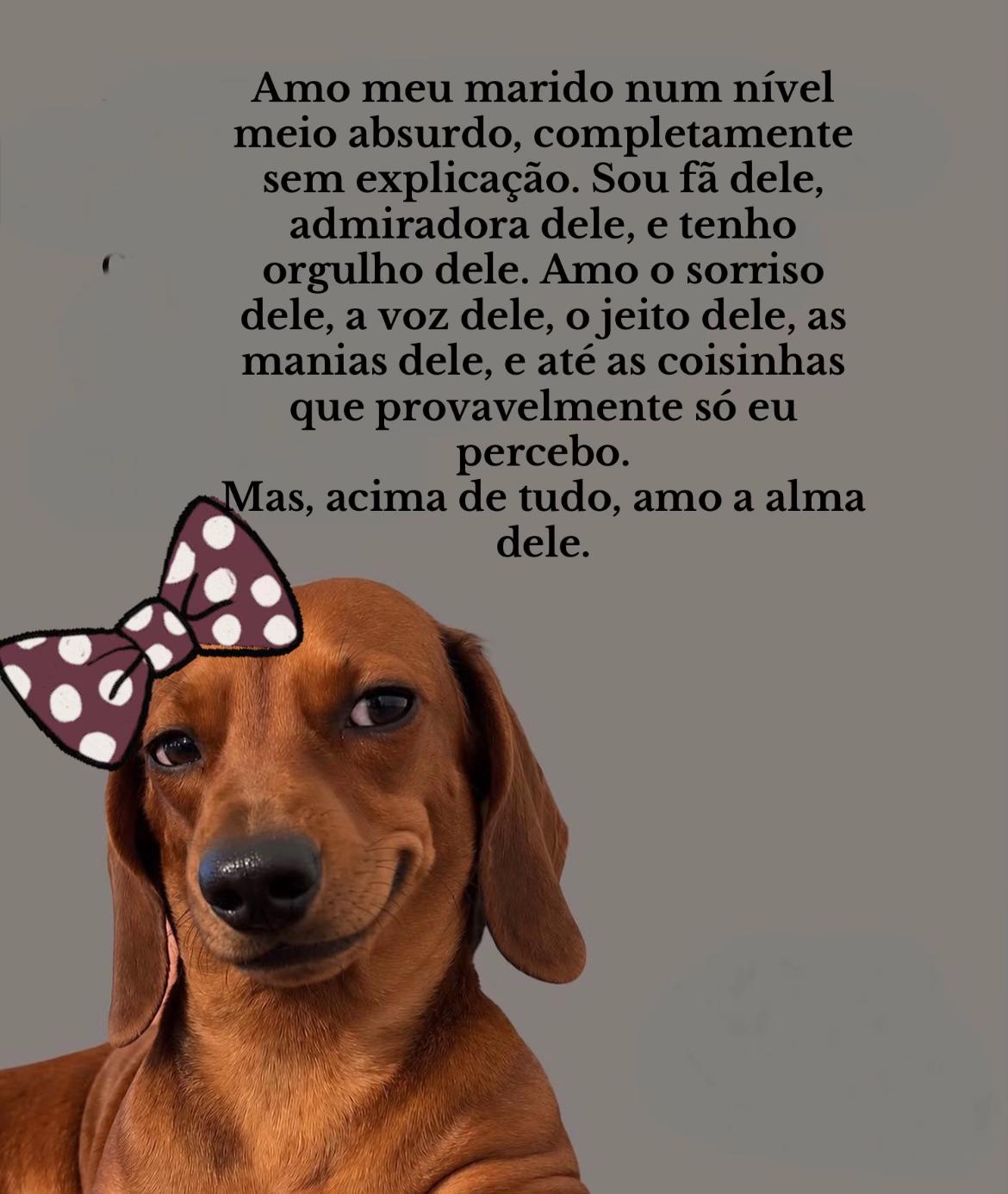@Paula Vitti