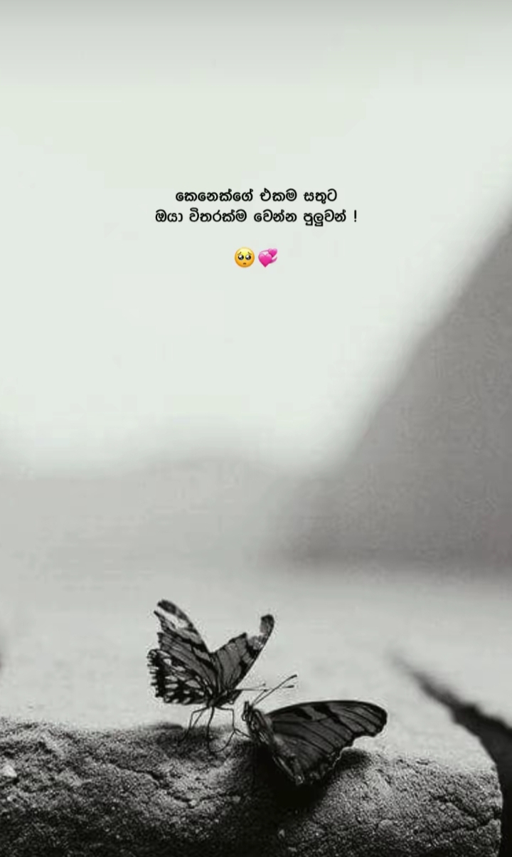 @𝓾𝓭𝓪𝓻𝓲 💗📎