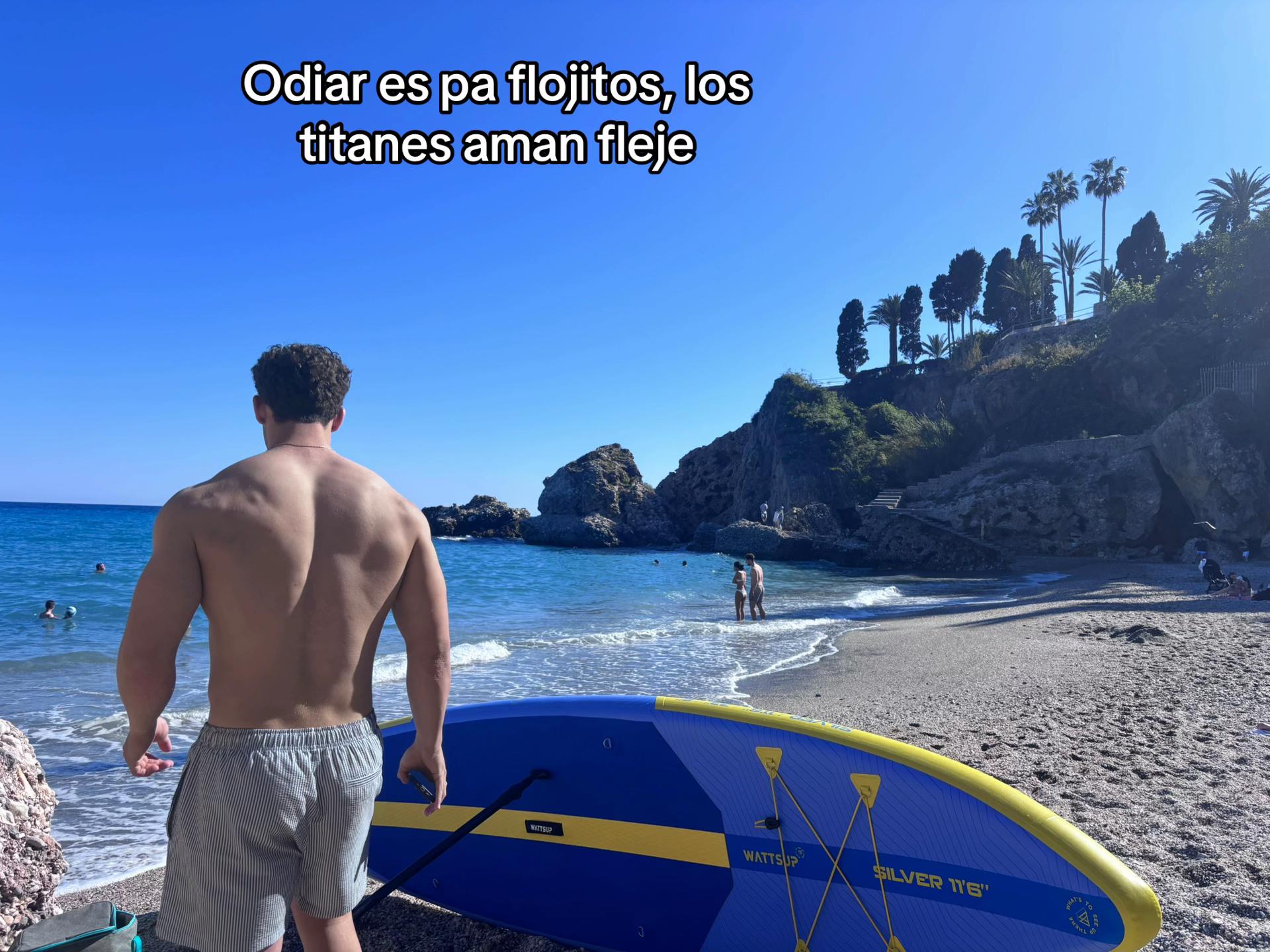 @Renauuu