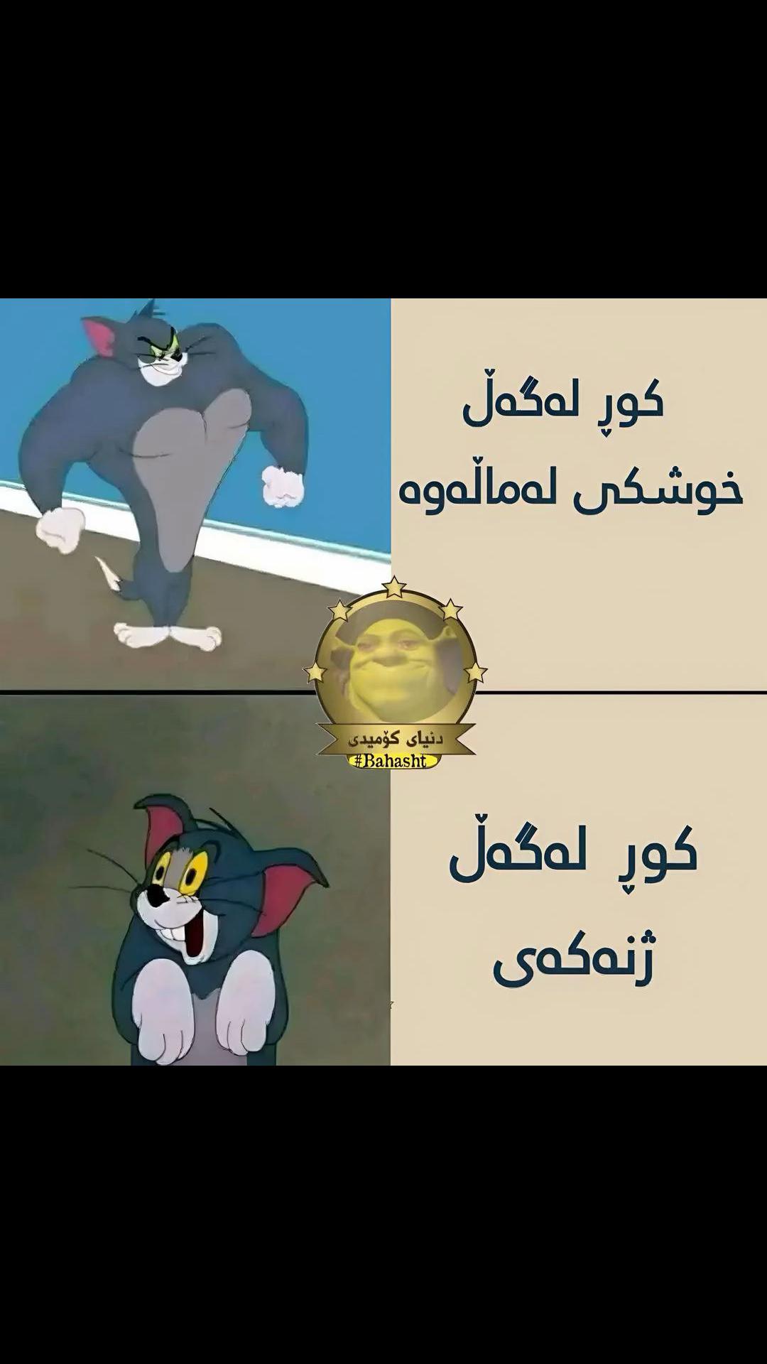@Shilan