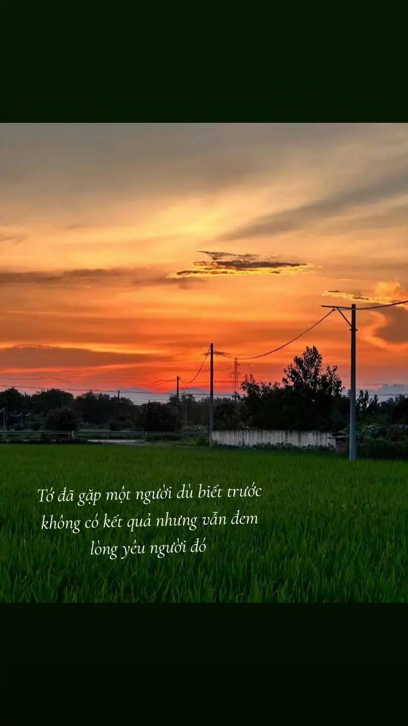 @Dốt tự nhi&ecirc;n nhưng học Y