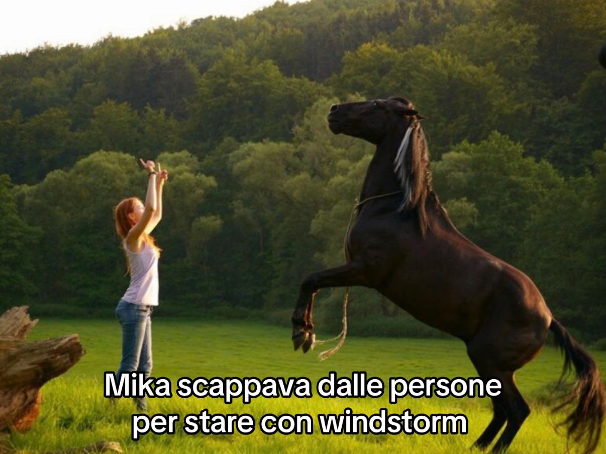 @ilarydaldini