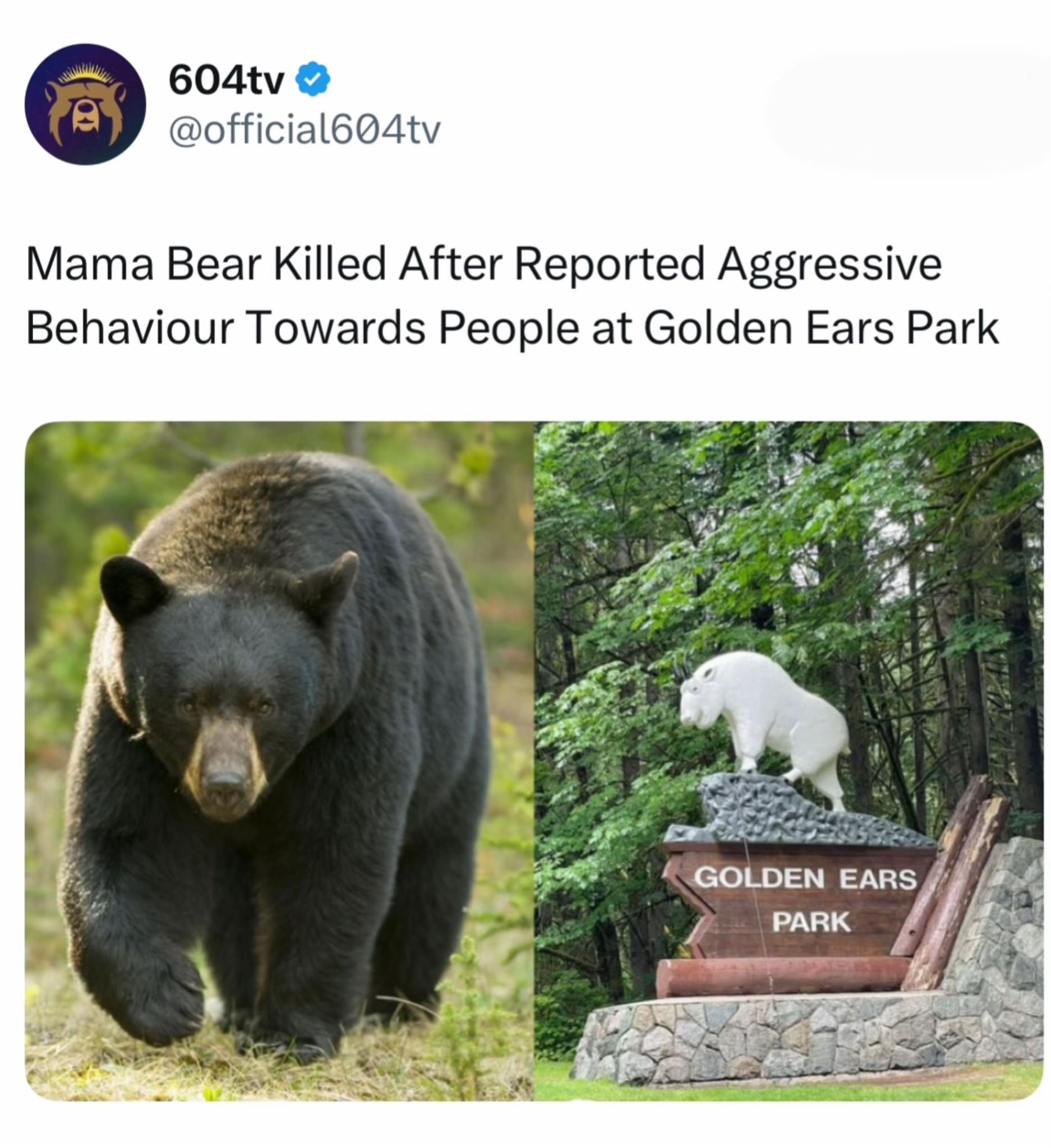 @604tv
