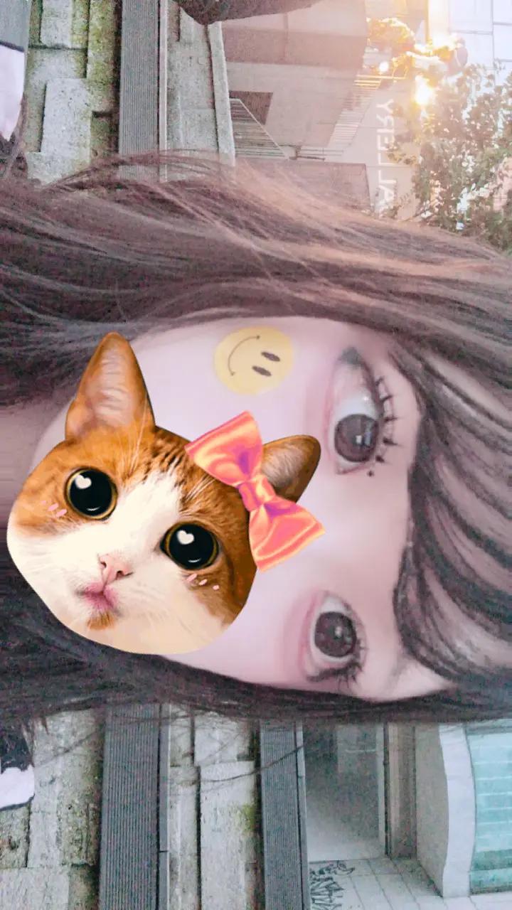 @뎨발