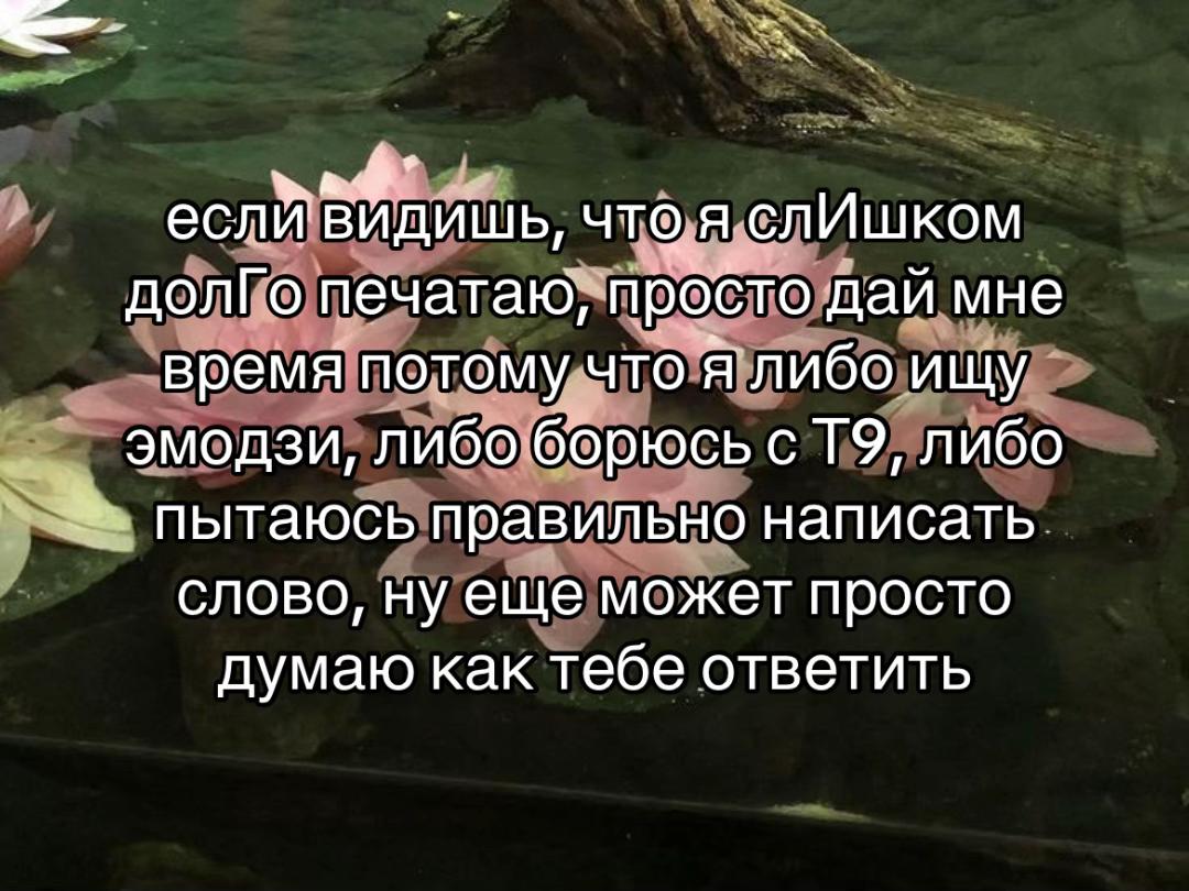 @лэйн