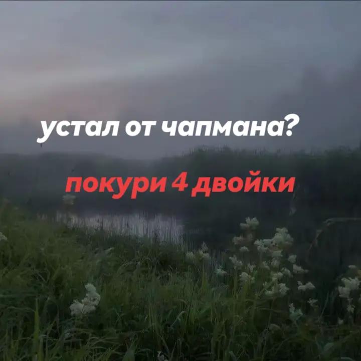 @меллбас котакбас