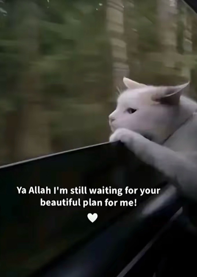 @أولاميد