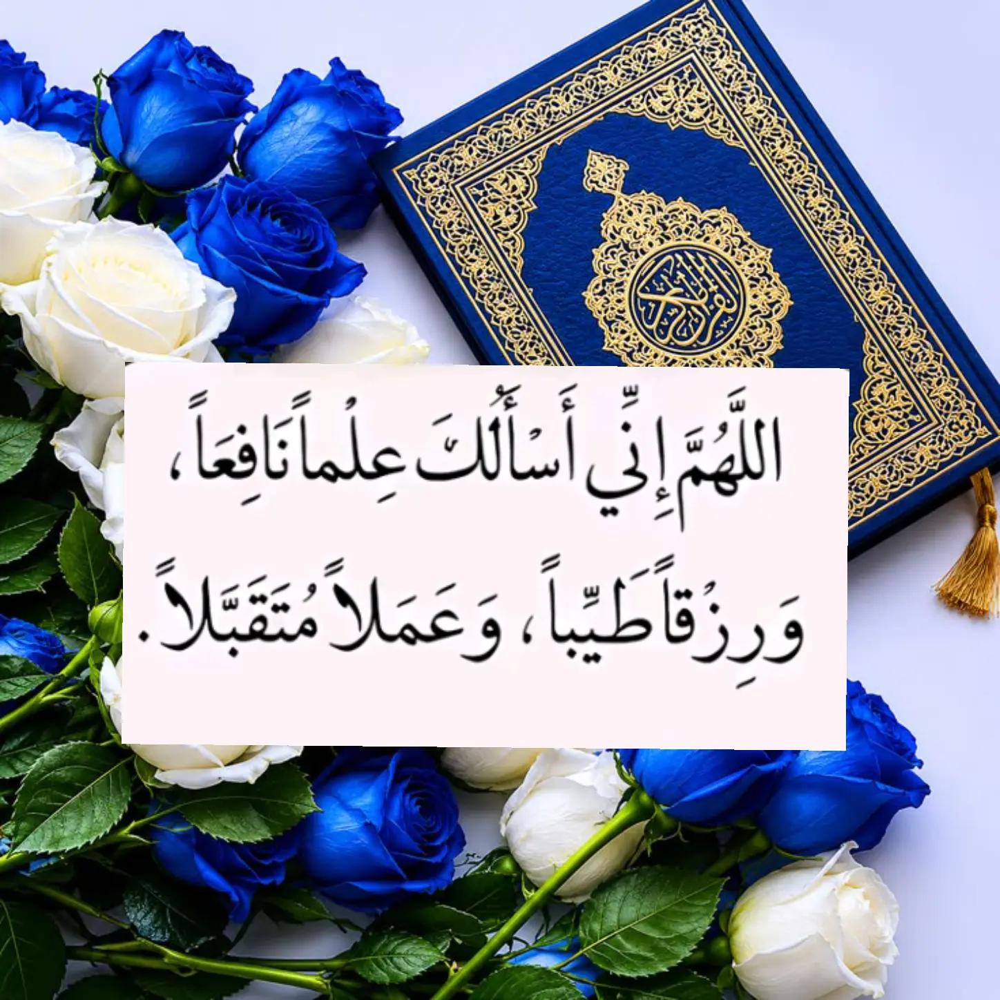 @Rayanbilan3