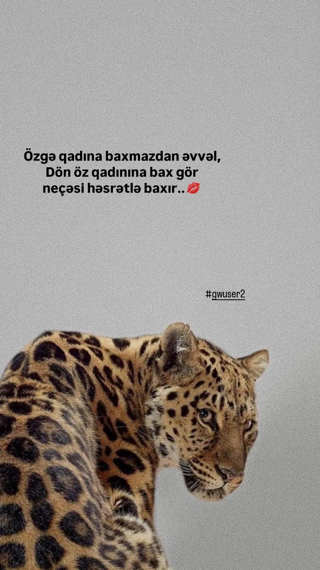 @🇦🇿