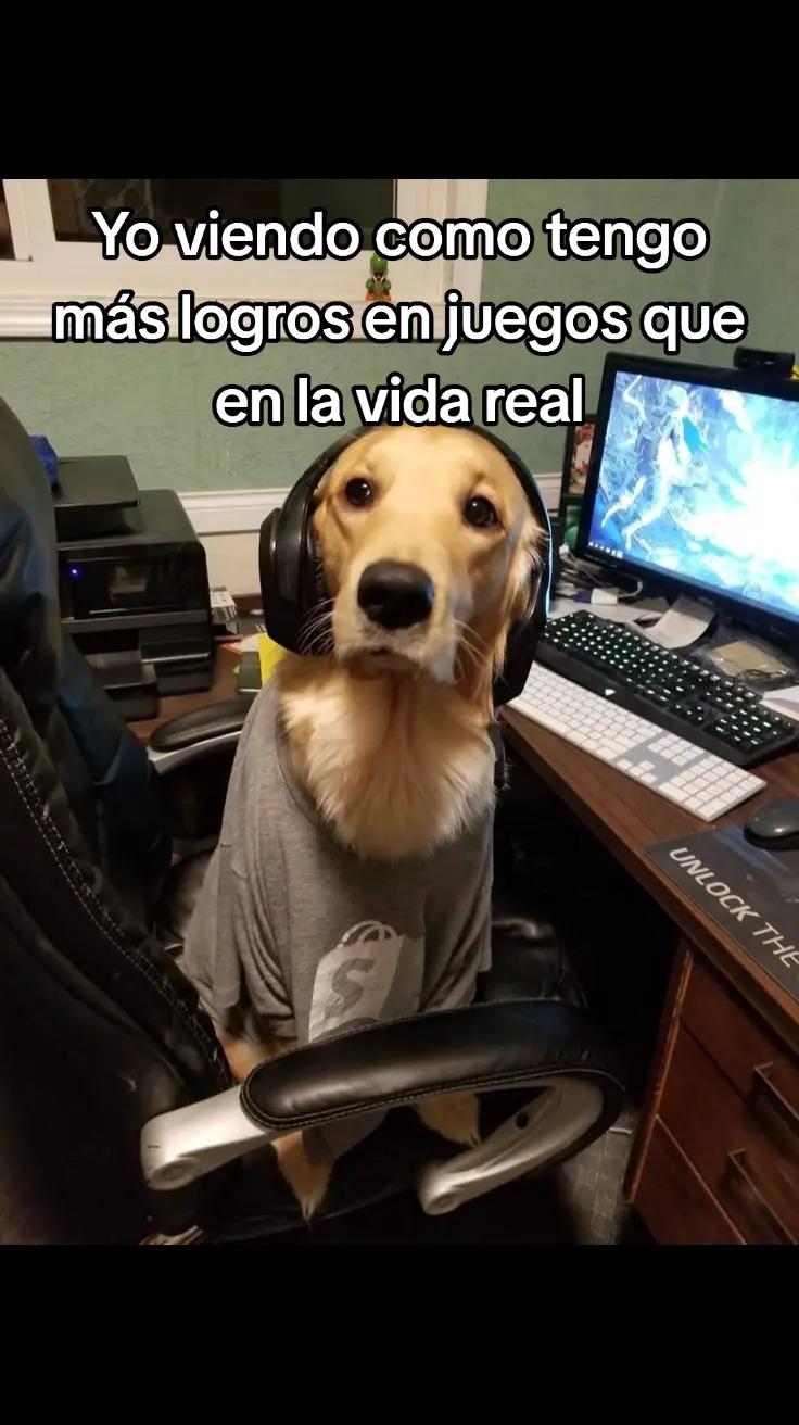 @Leoncio🗣️