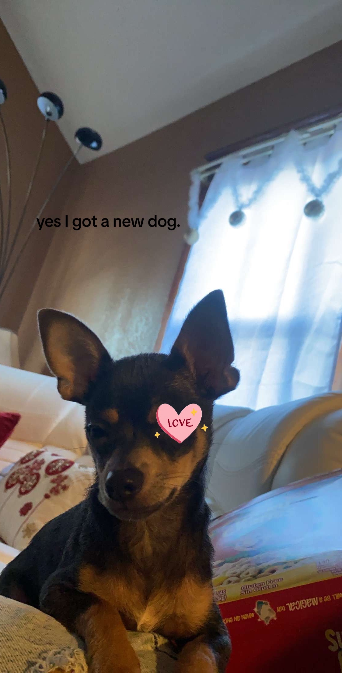 @❦
