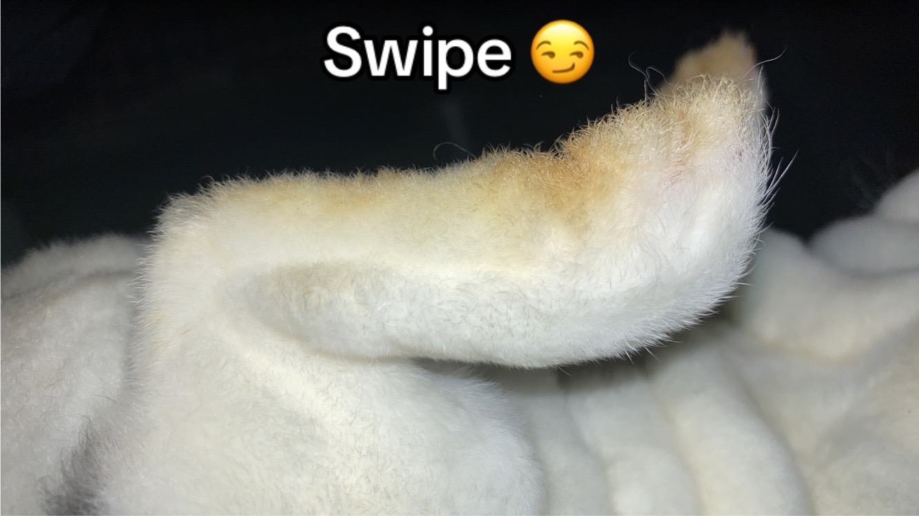 @Skilow
