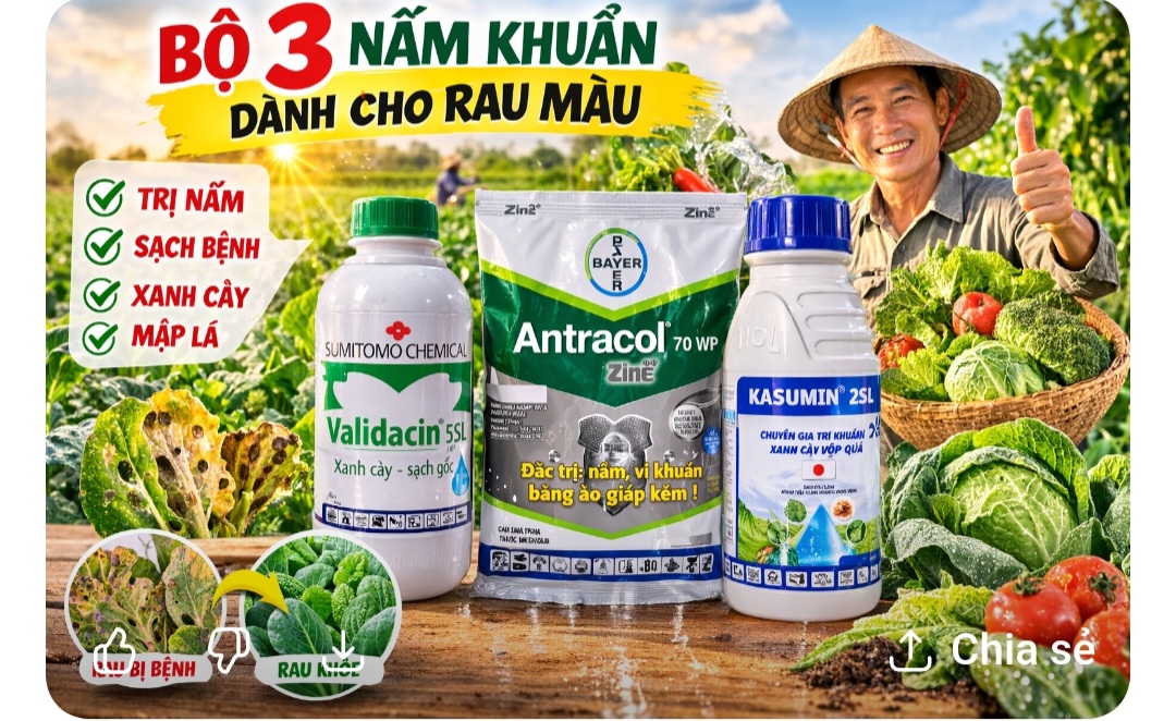 @LUONG THI MAI MAI