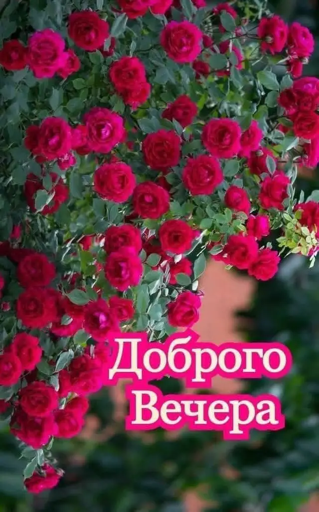 @Лариса