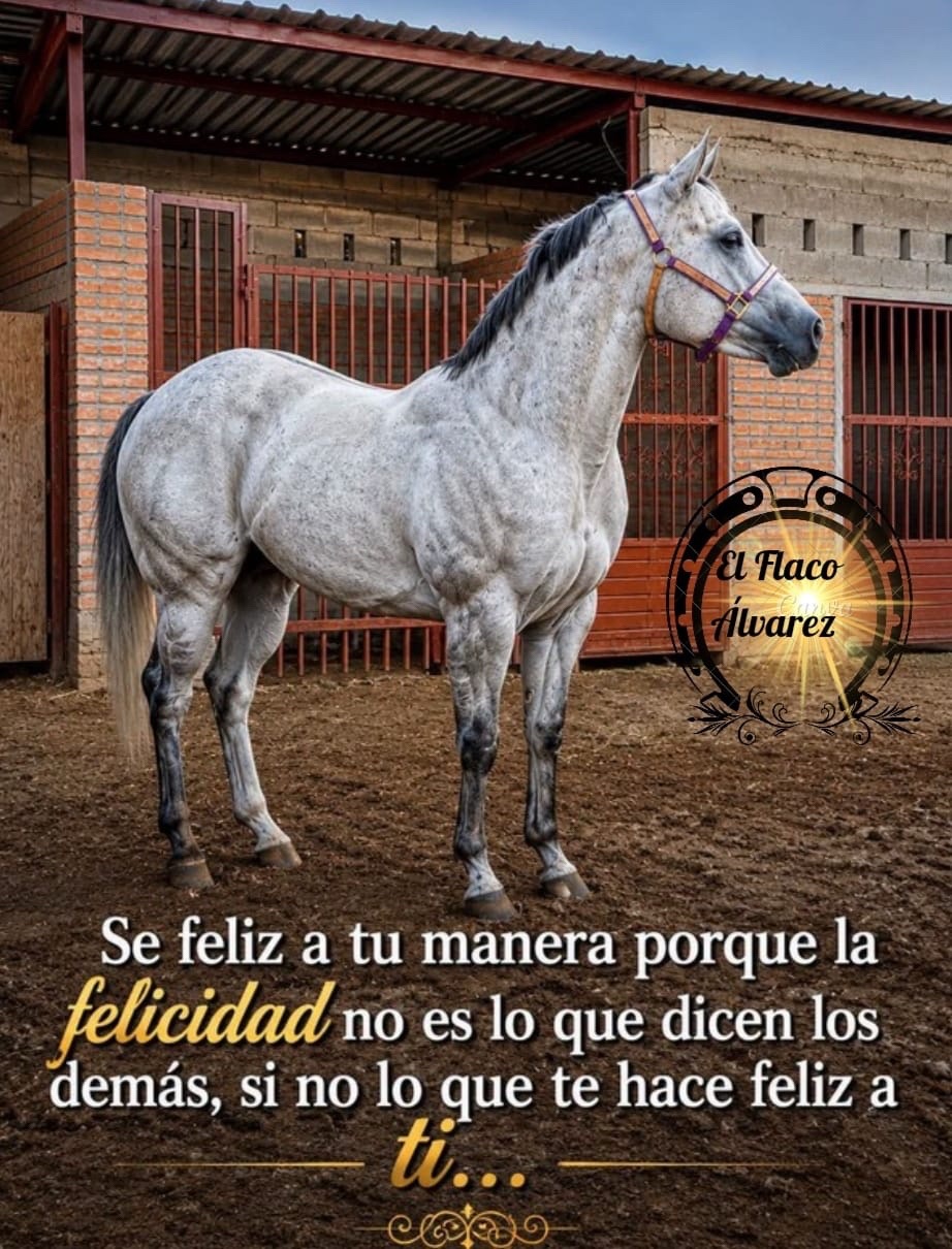 @El Flaco &Aacute;lvarez