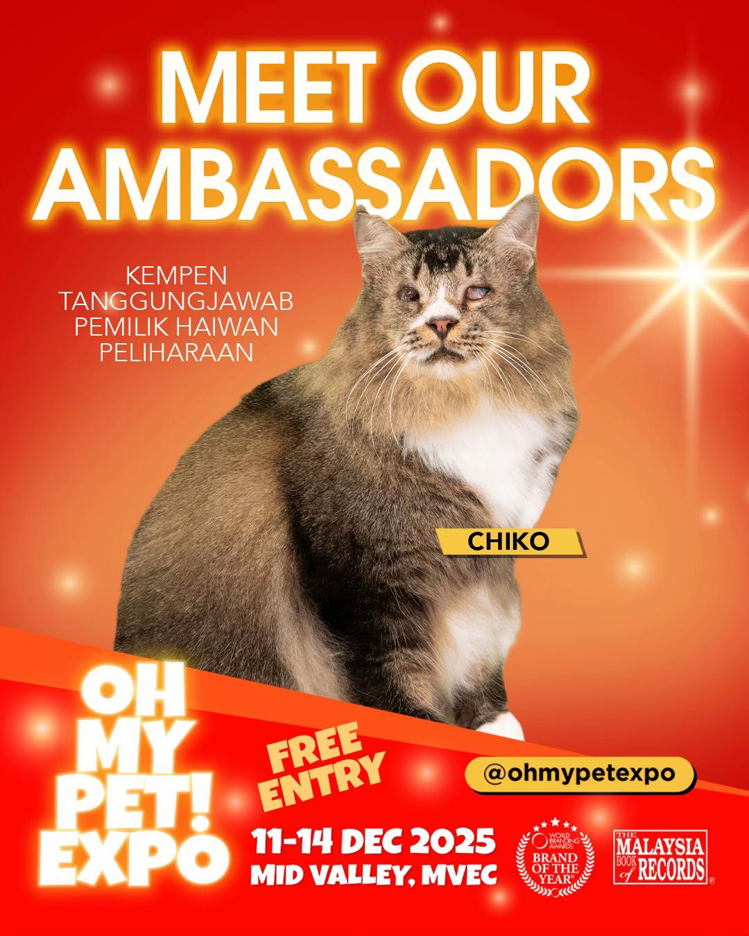 @Chiko & Friends