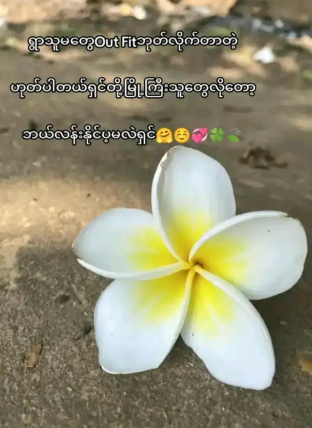 @T𐙚ᥫ᭡