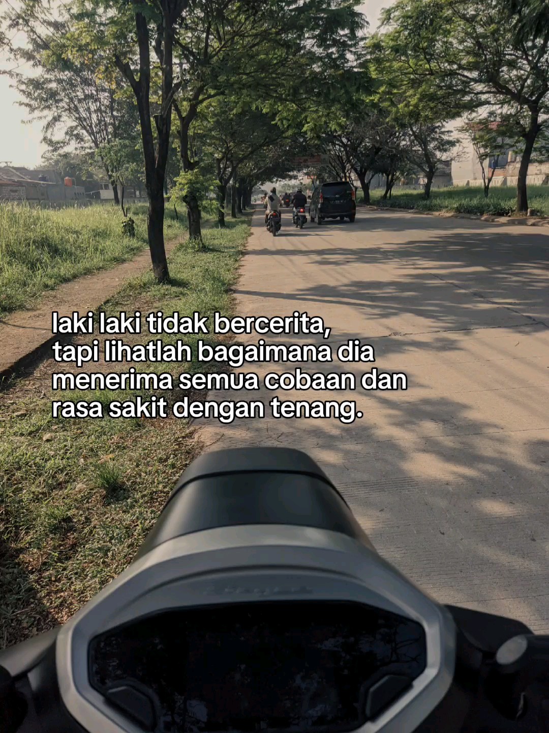 @ARIFAL