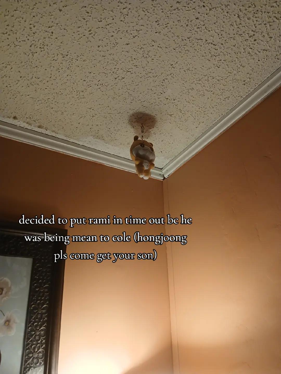 @‧₊ ᵎᵎ⁷³𝑄𝑢𝑖𝑛𝑛²²٠࣪⭑