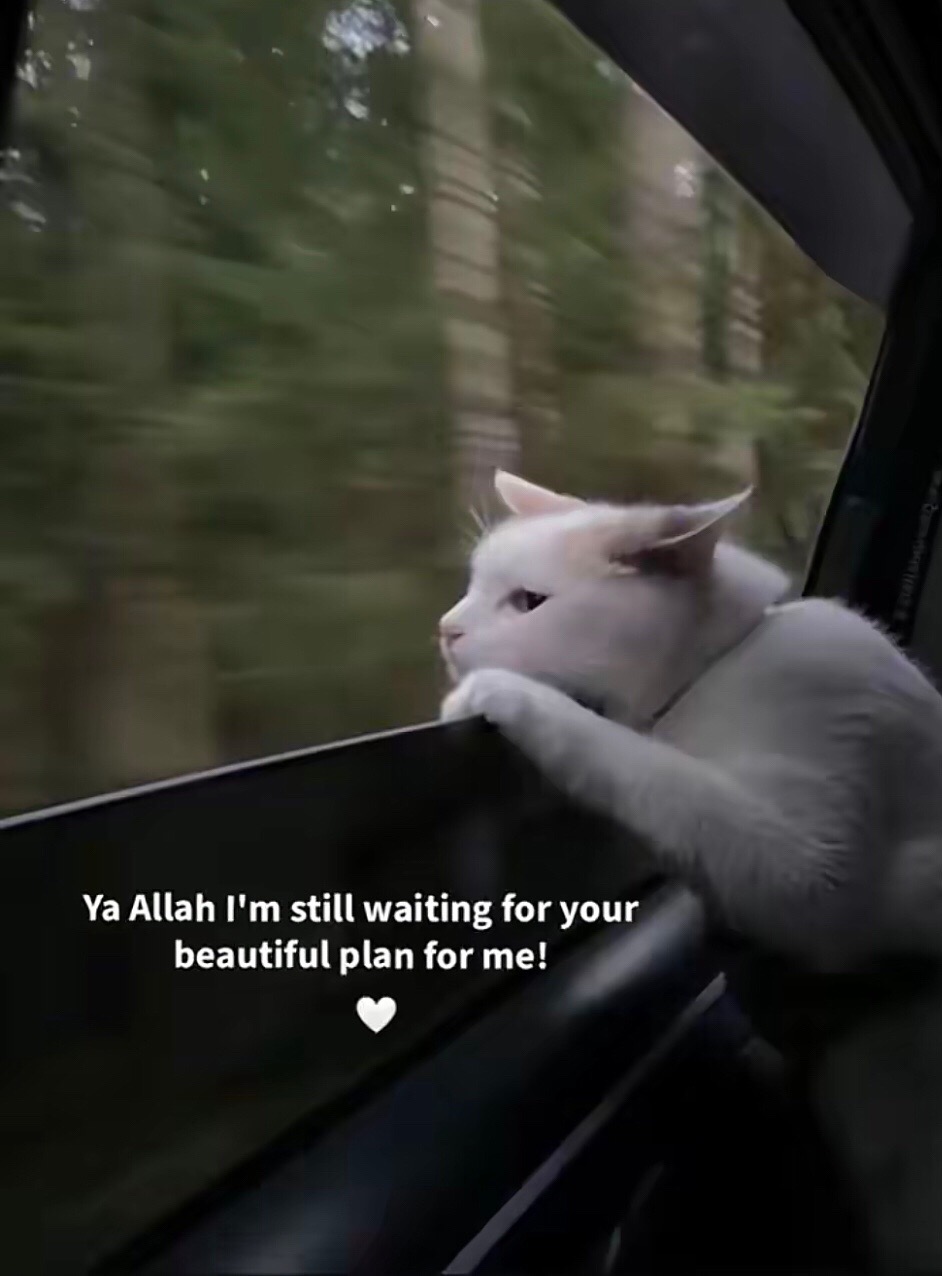 @Adewusi Maryam