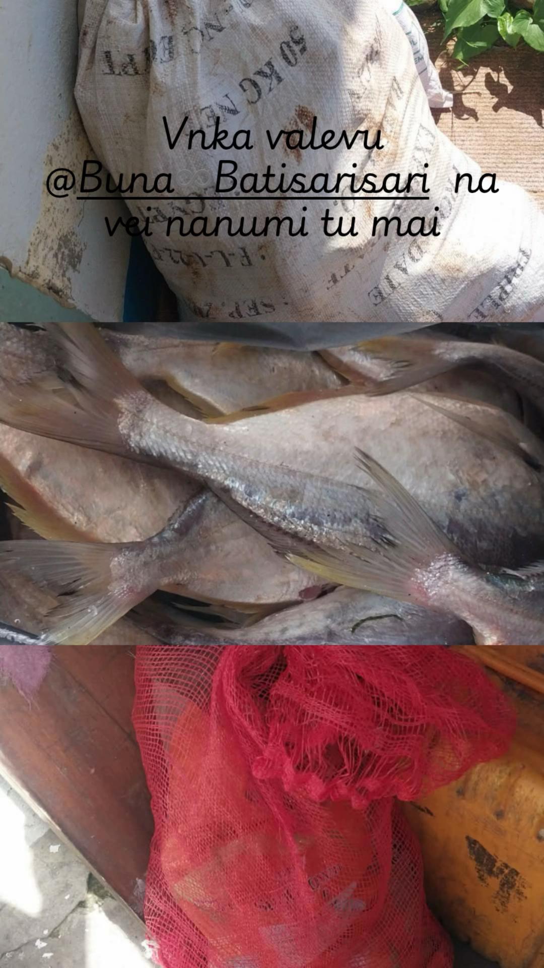 @🇫🇯 12 🇵🇬