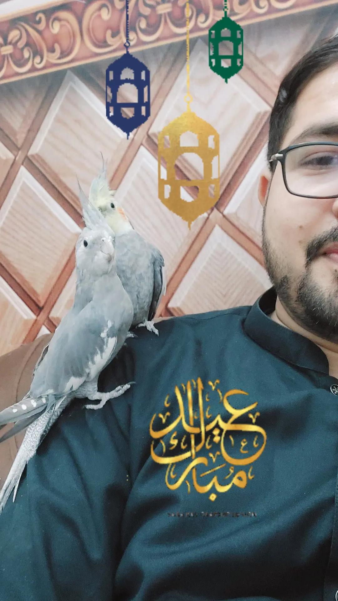 @Pak Pet Zone ( Shebi Shokeen )