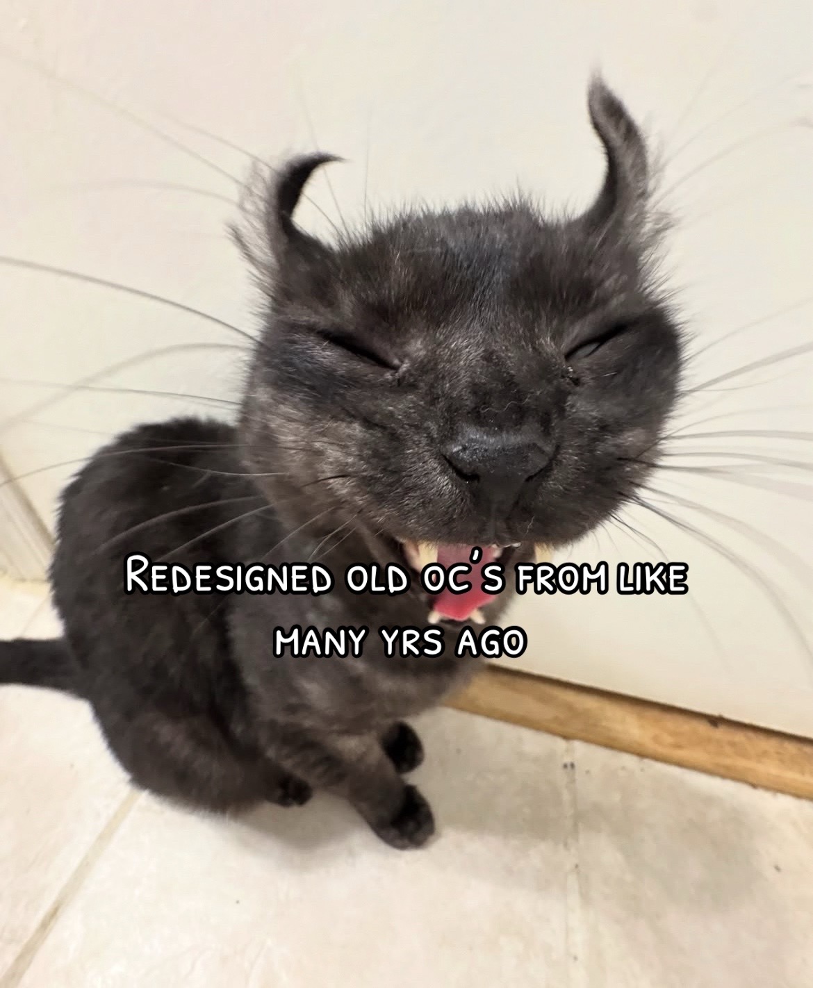@Awildgatoo
