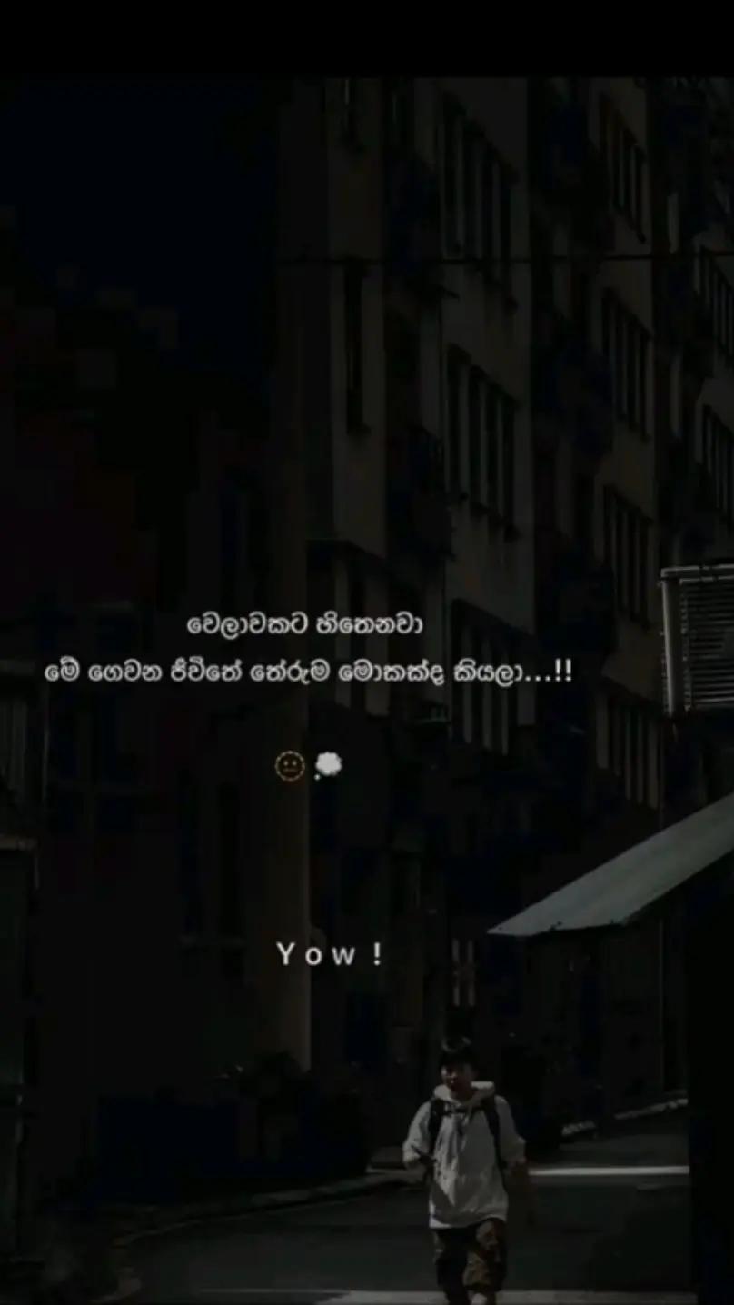 @🇱🇰💞THEV🖇️KUPE❤️🇶🇦