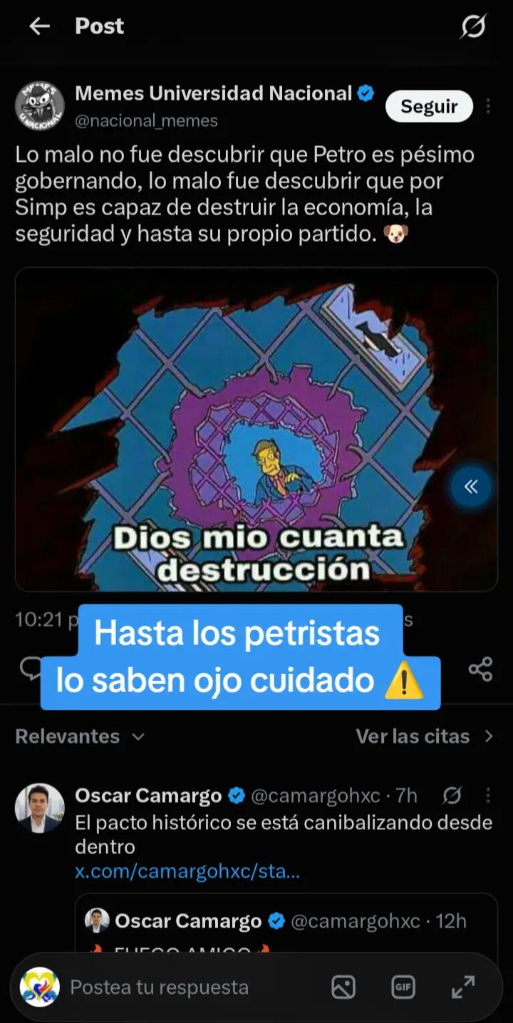 @Noticias zorrito