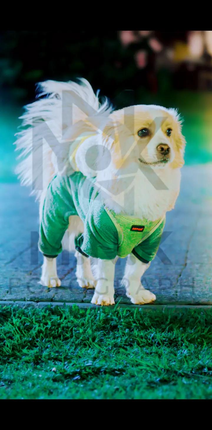 @【I】̇【b】【o】 【C】【a】【n】 【2】【7】