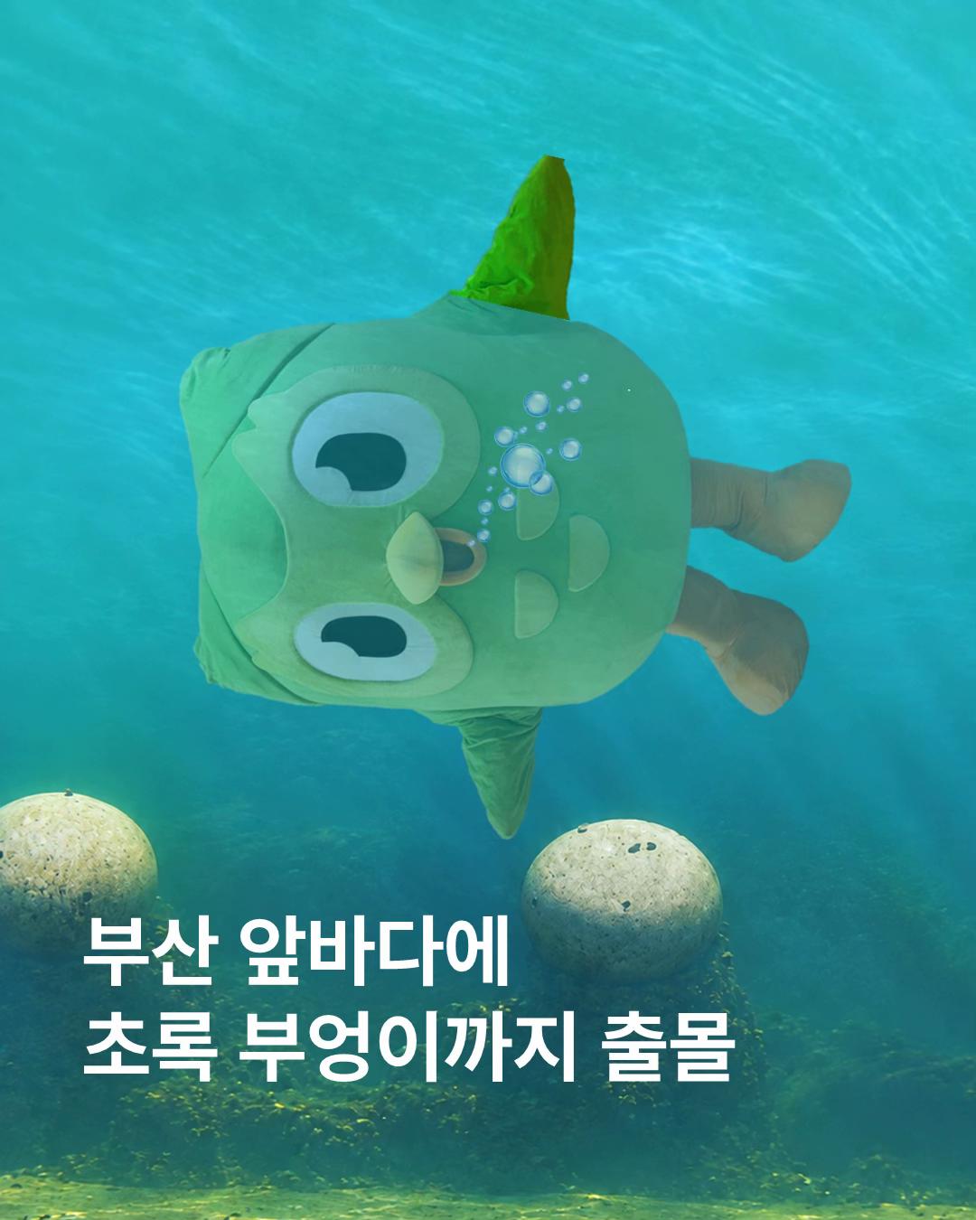 @duolingokorea