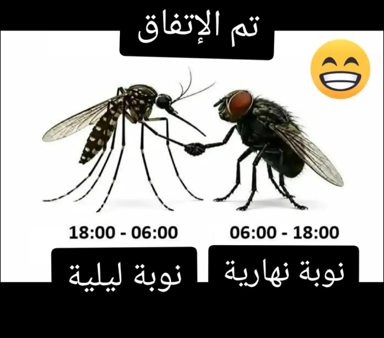 @🤠يوميات🙋السائق👷 الجزائري🇩?