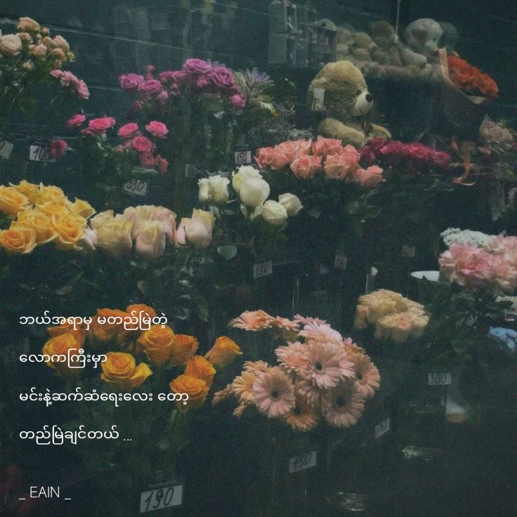 @๐ด๐๐๐ ๐ซง