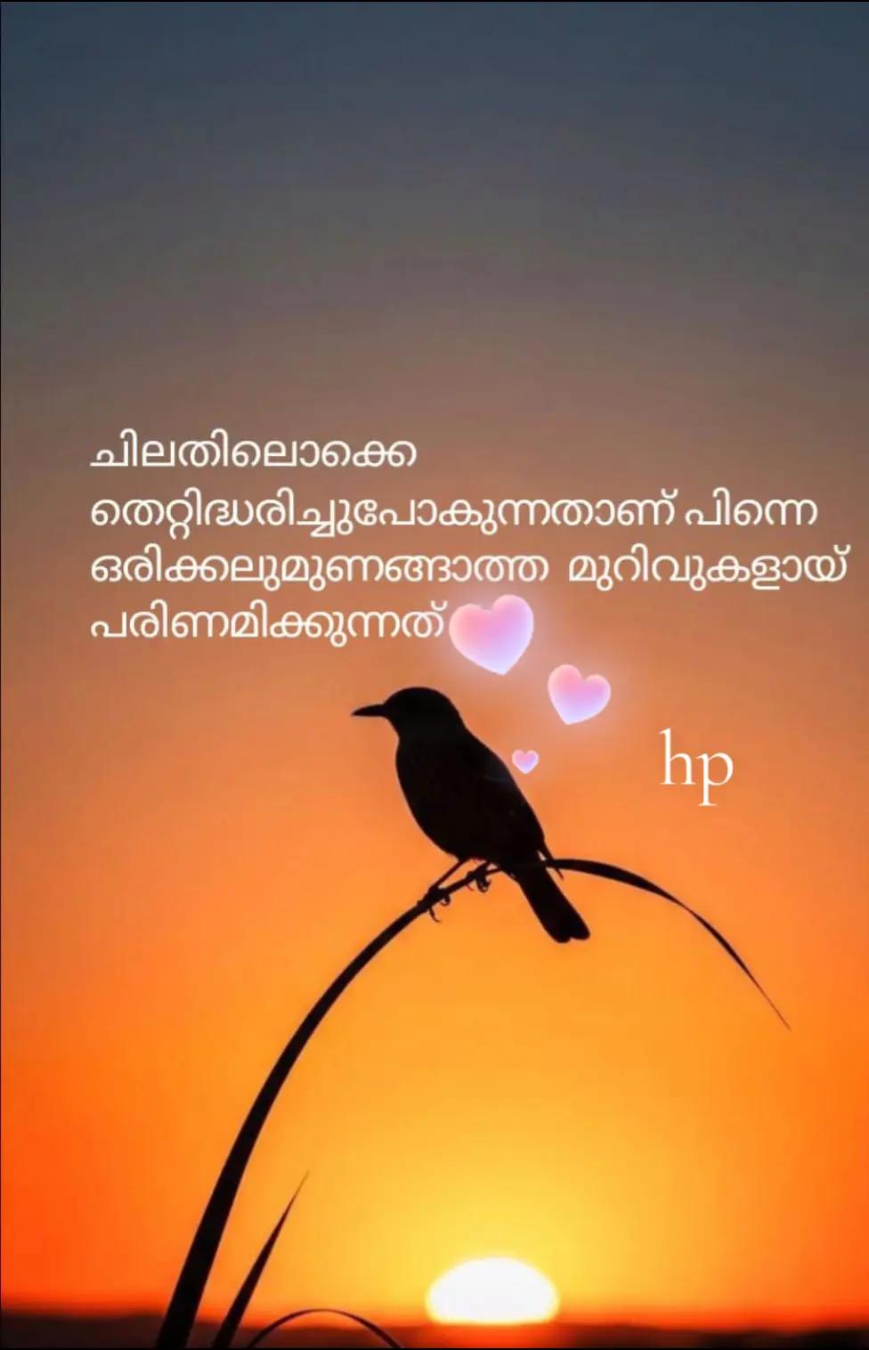 @hp
