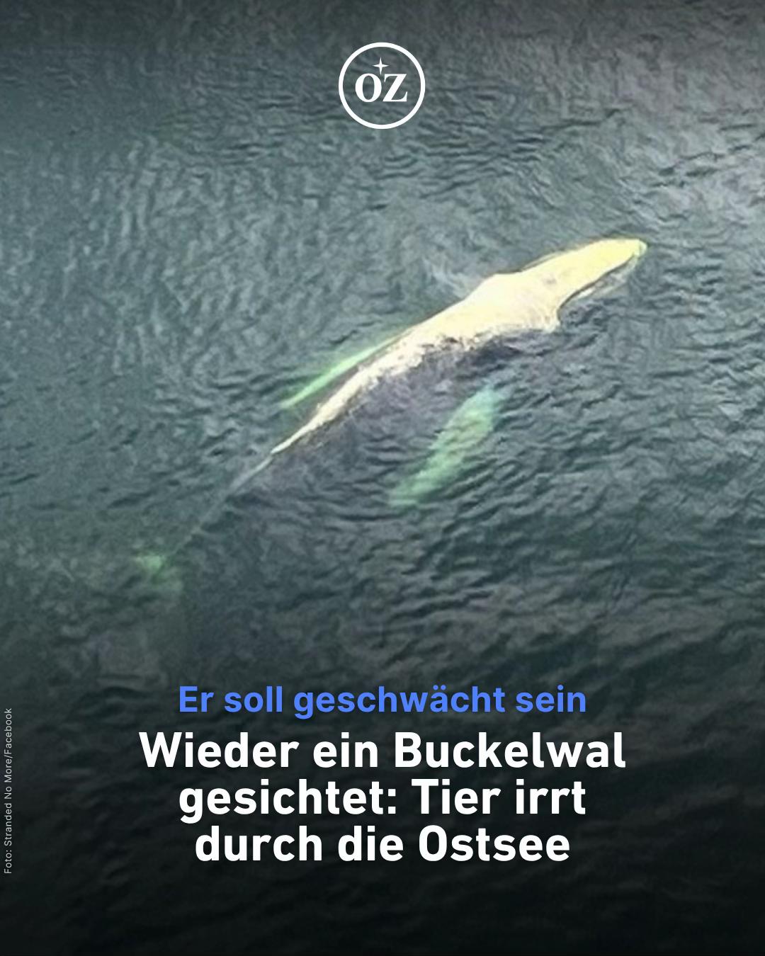 @Deine Ostsee-Zeitung 🌊