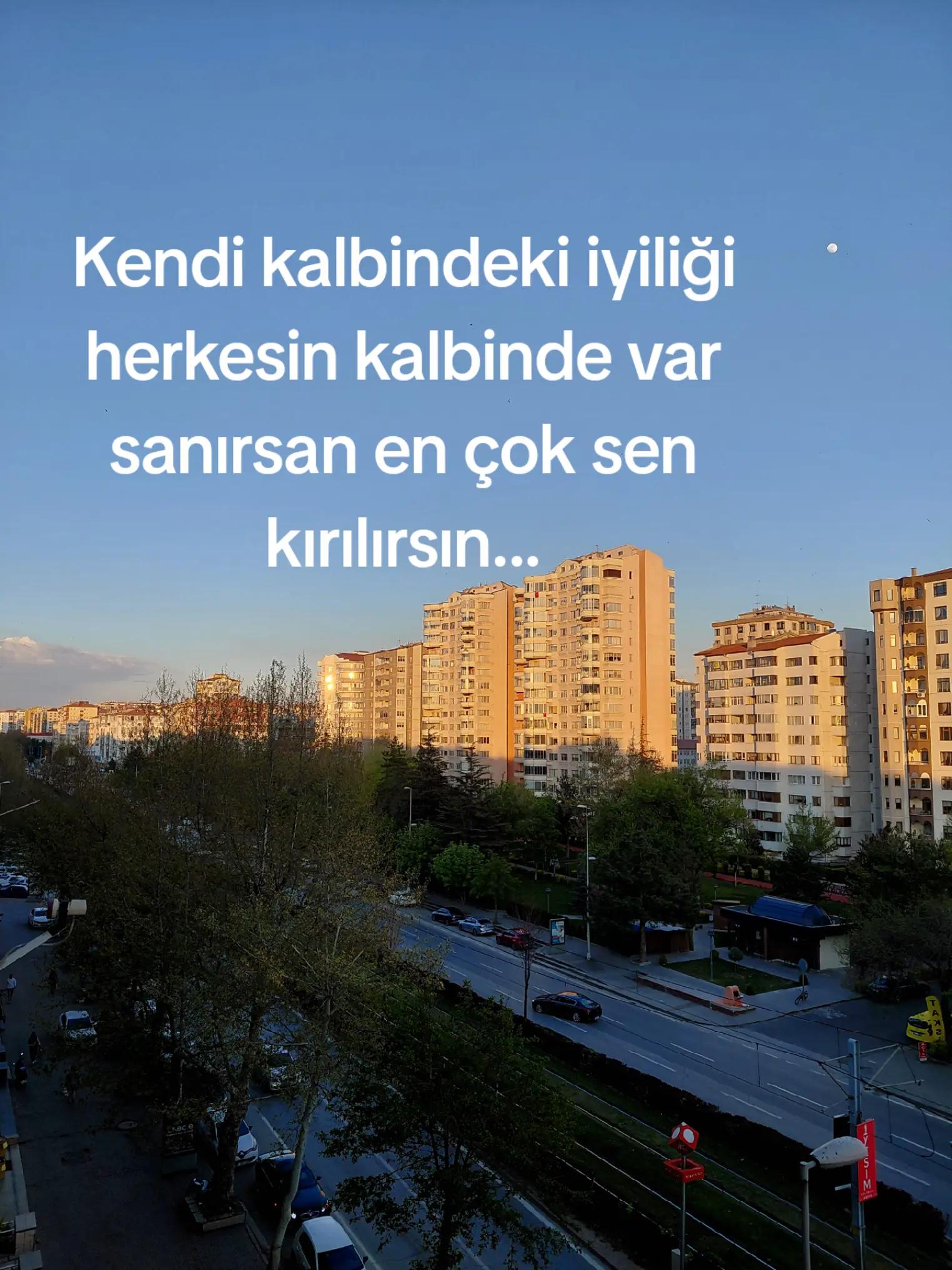 @Hay&acirc;l3807