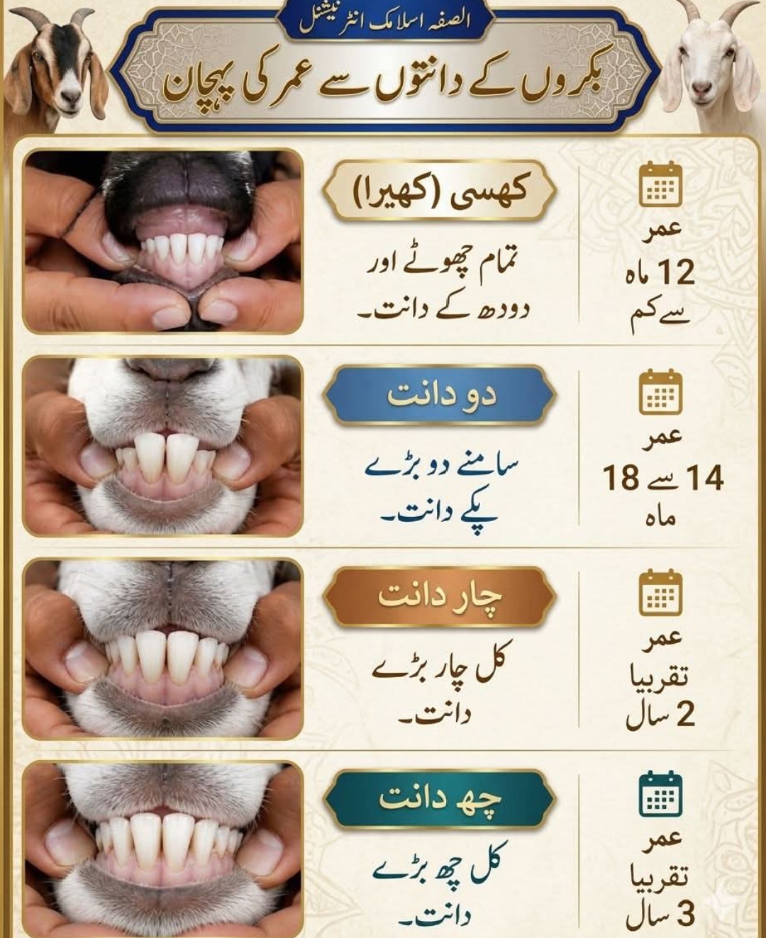 @MuhammadIsrar