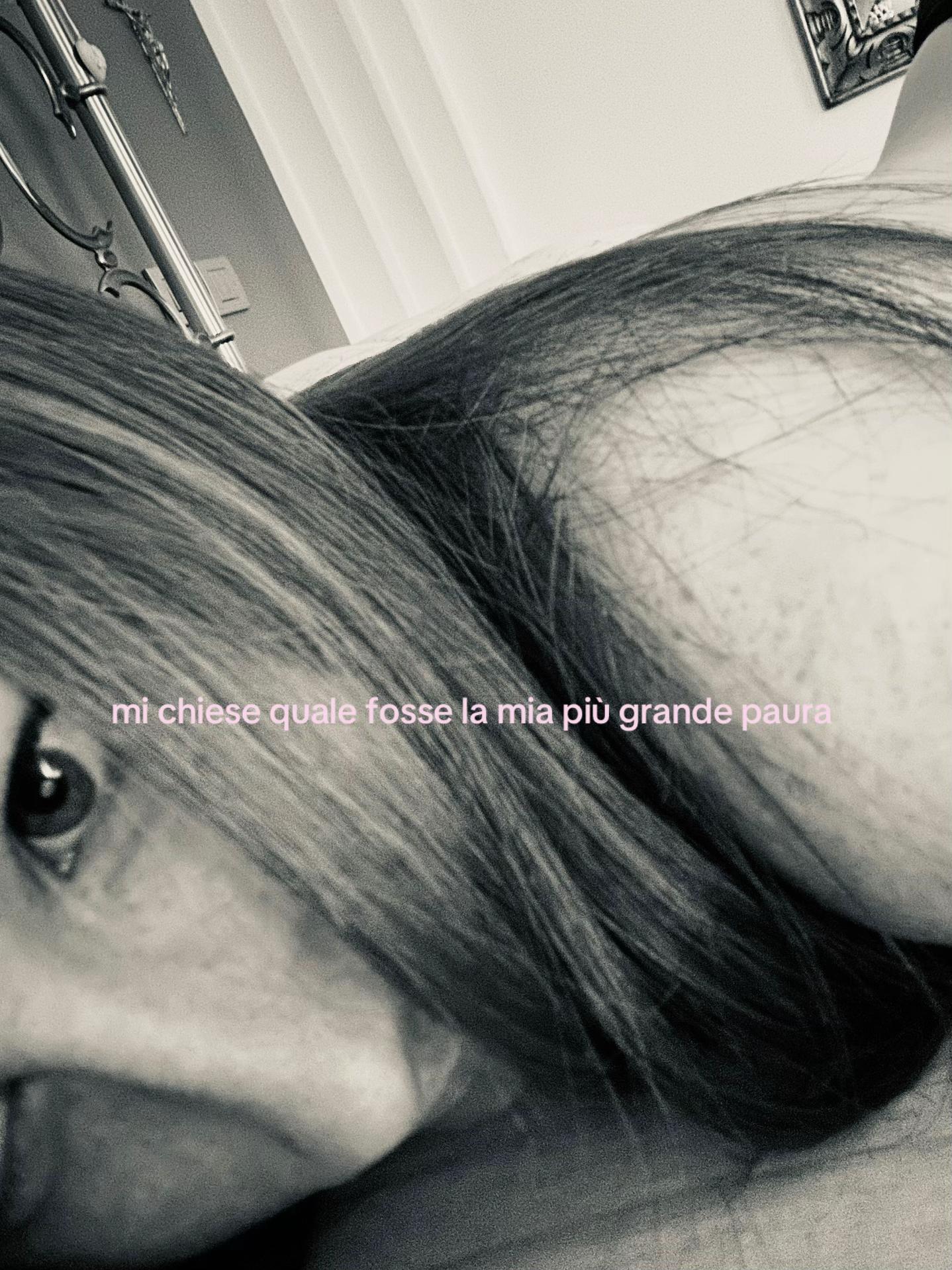 @sofiabeltrami🦋