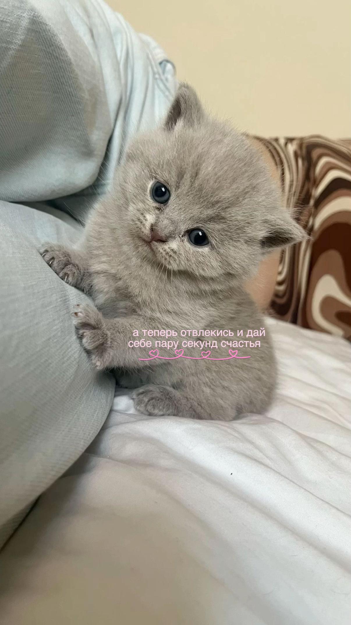 @цитаты/эдиты