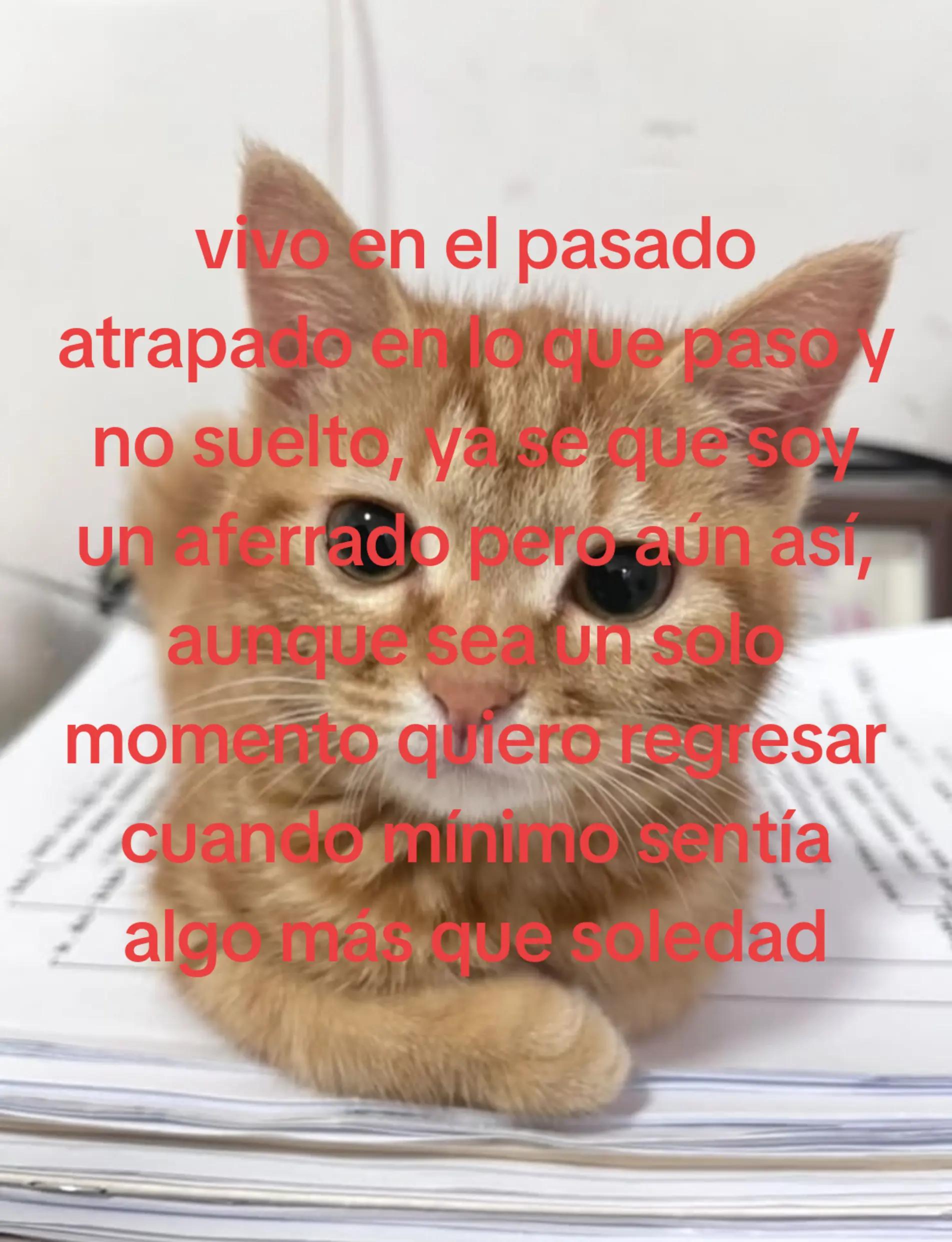 @G4b_n