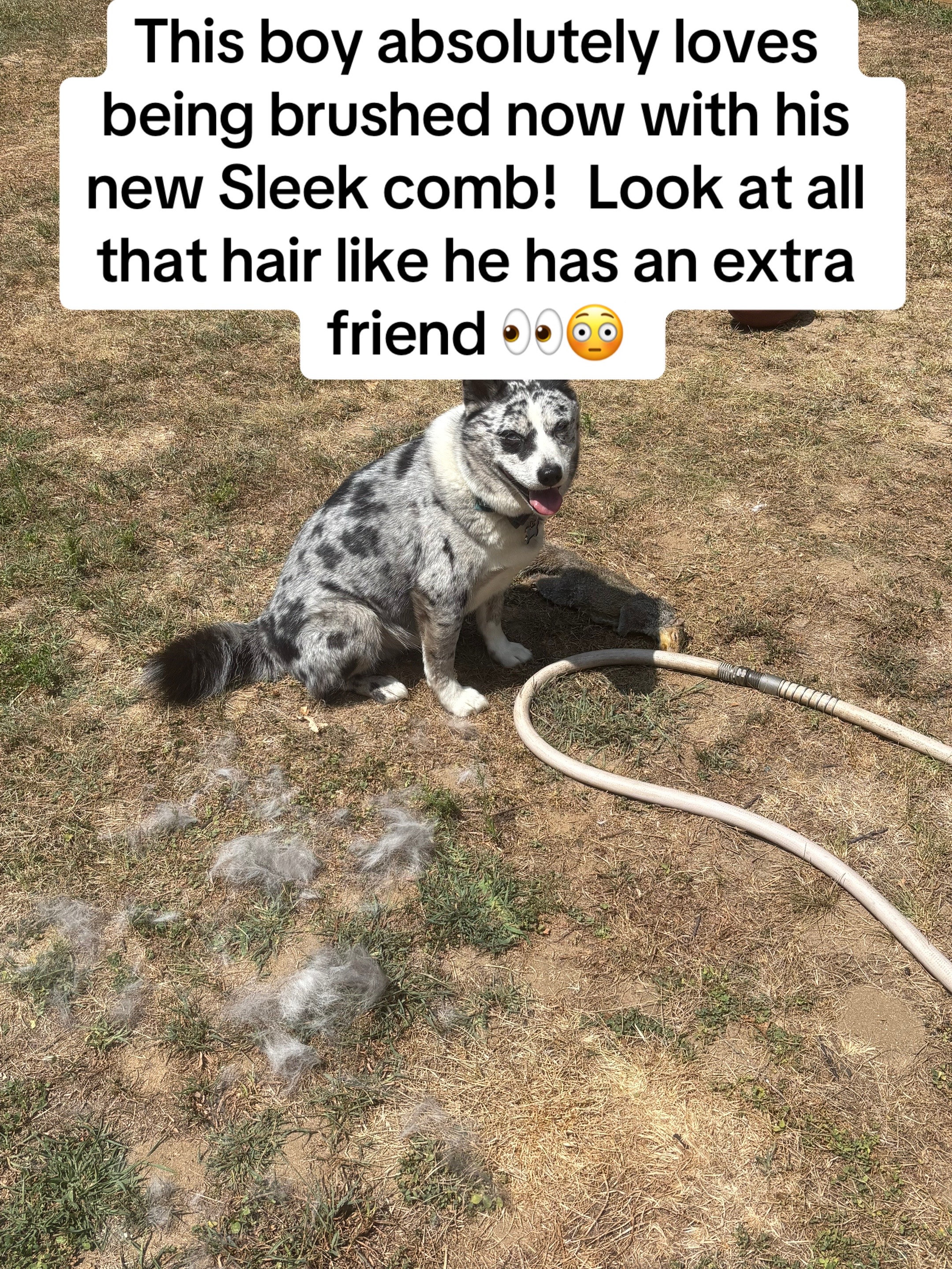 @MommaJenny