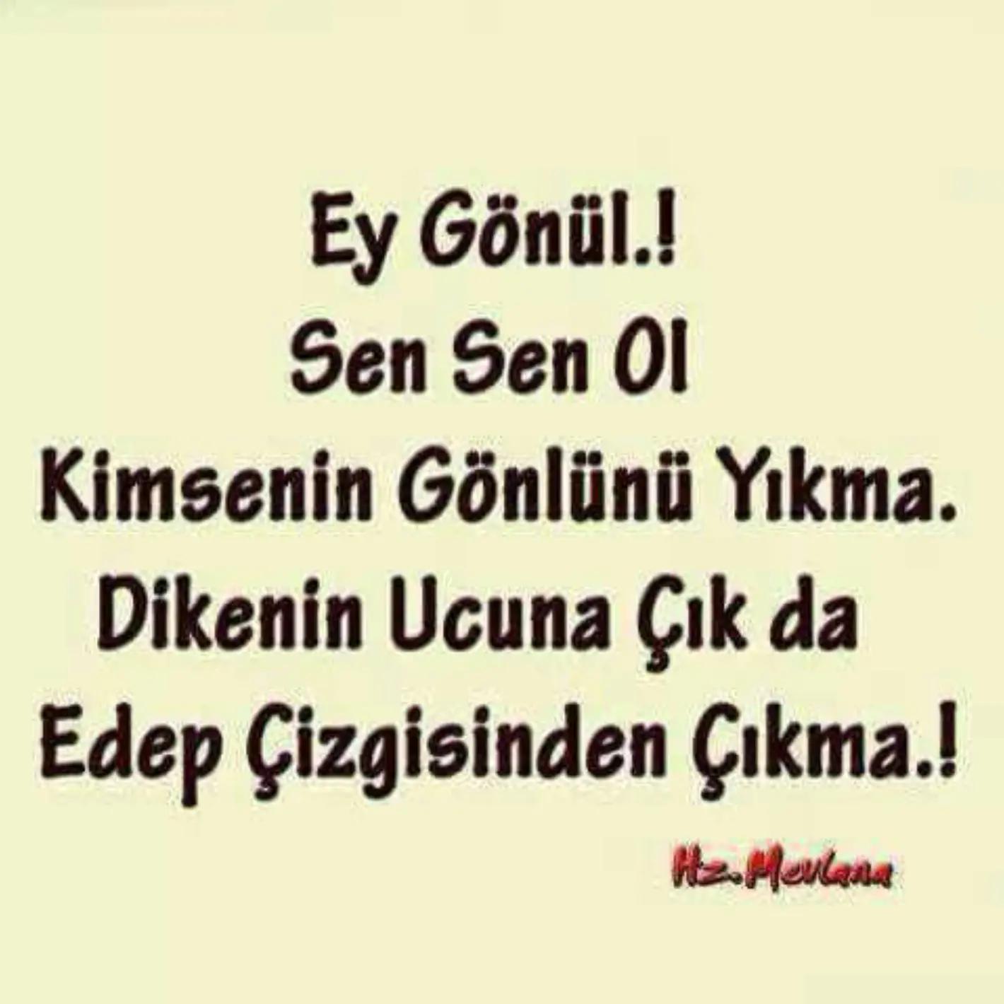 @karadayı