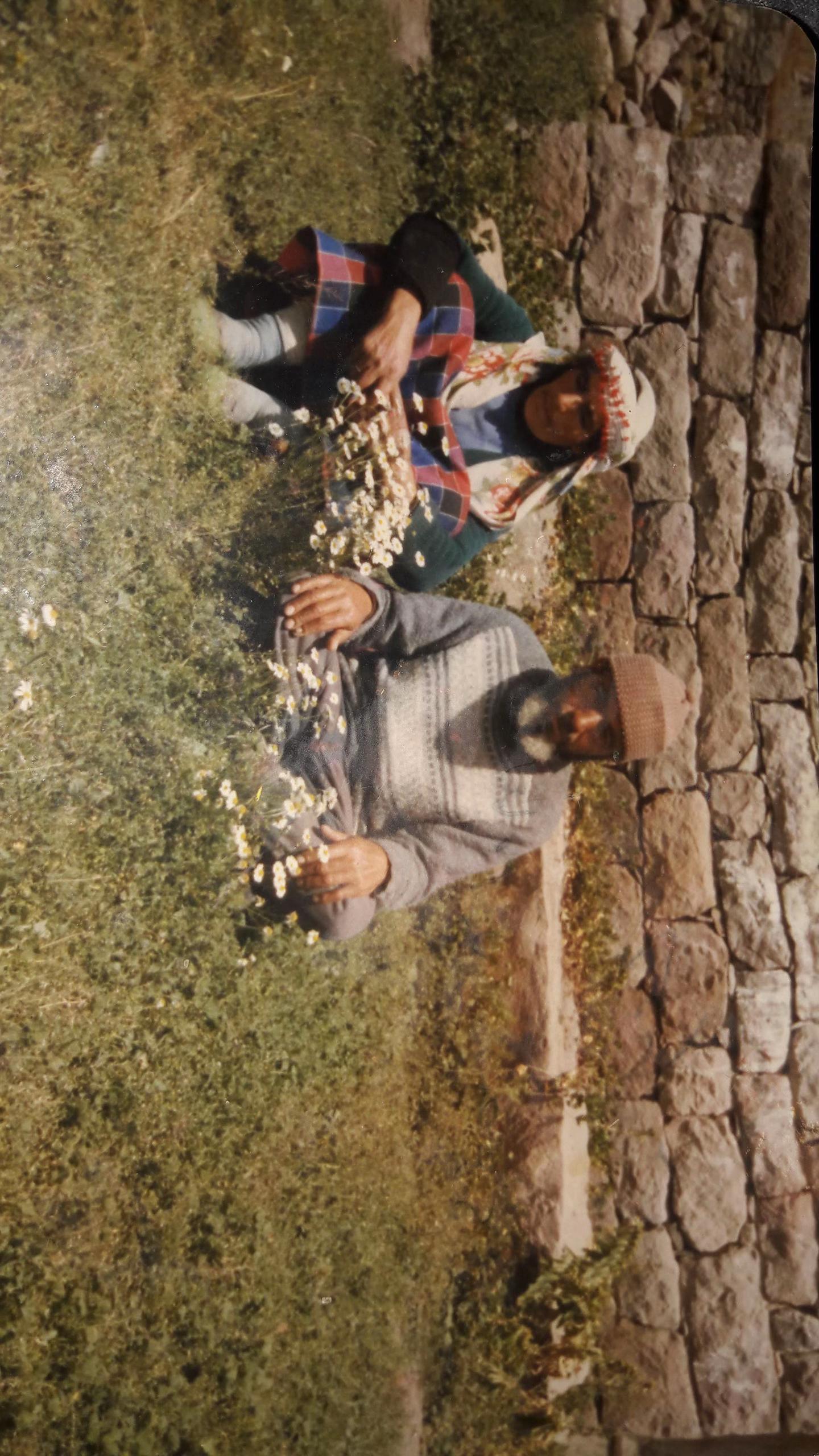 @G&uuml;ler_Yakup