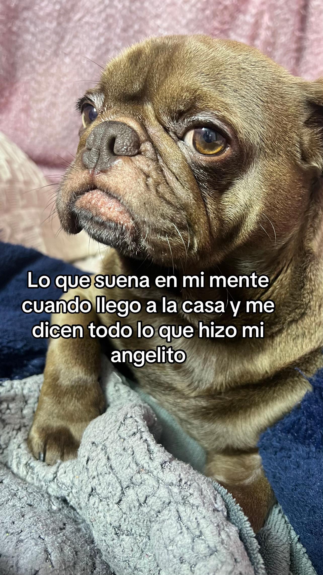 @Valeria Sarahí