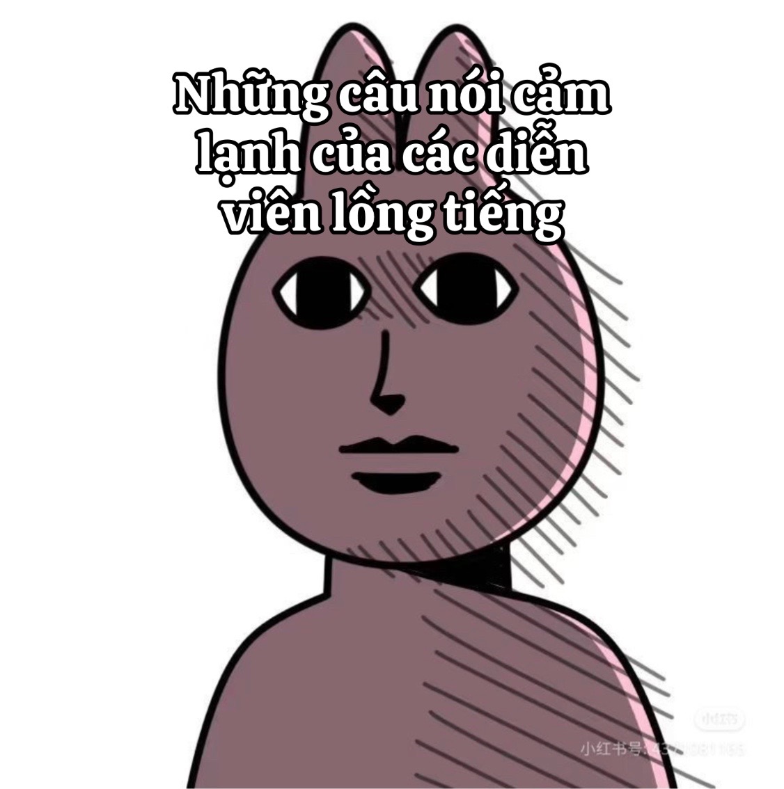 @Suwani
