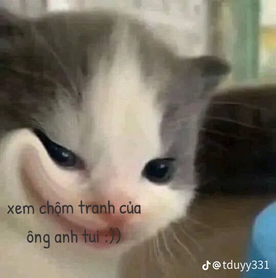 @𓆩♢/CROP♢/𓆪