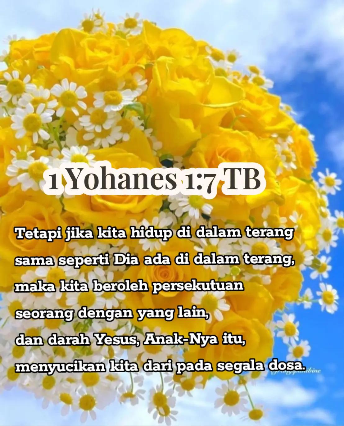 @nn store282899