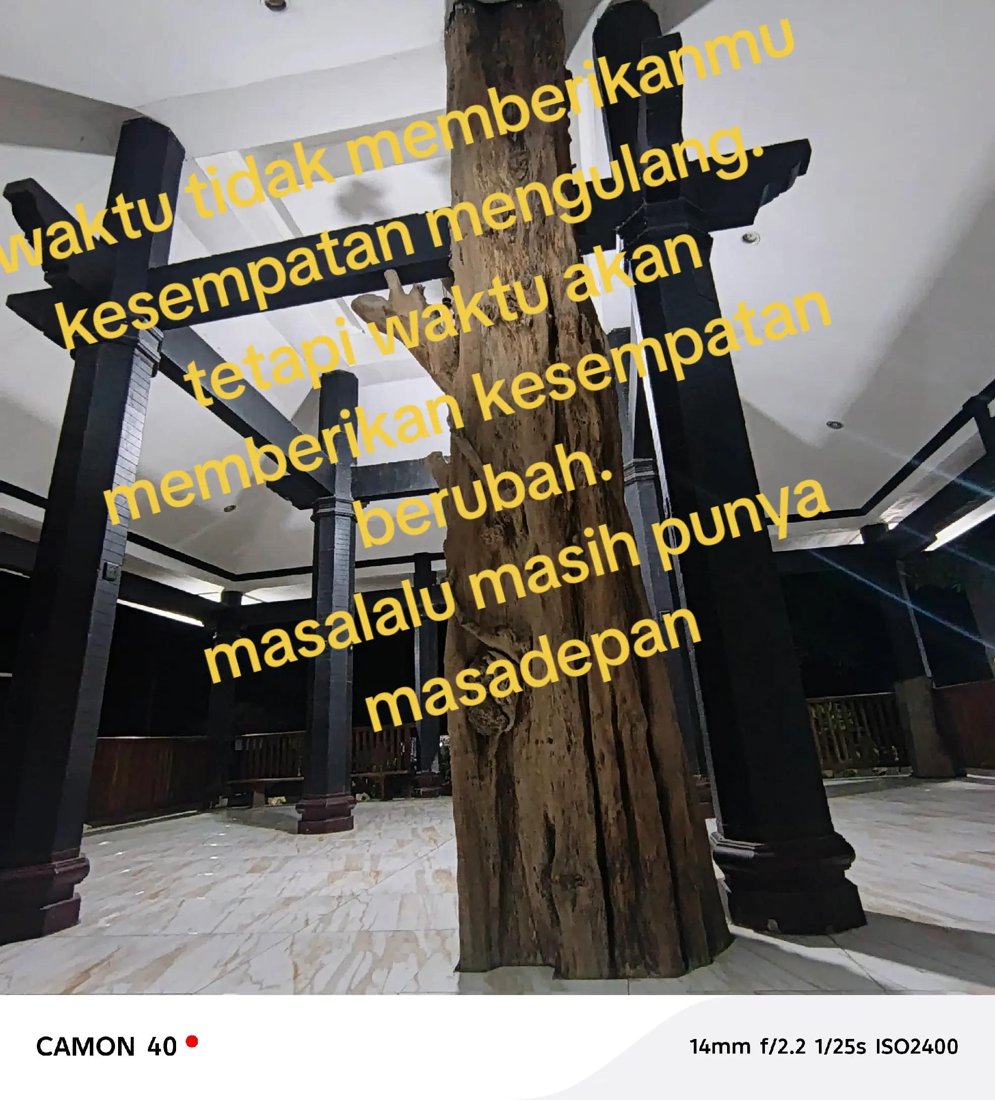 @ultramen gak dadi