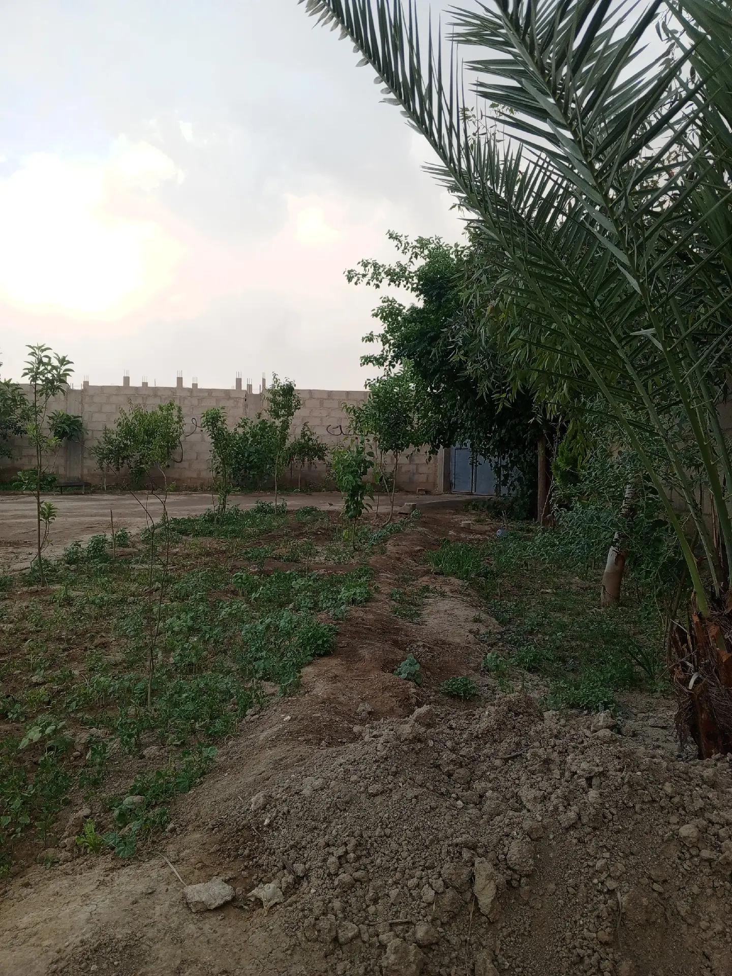 @أبو إيهم